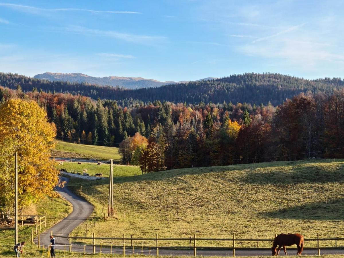 Gite Des 3 Marches Lamoura Eksteriør billede