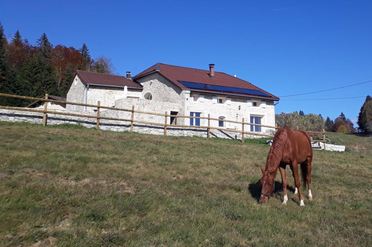 Gite Des 3 Marches Lamoura Eksteriør billede